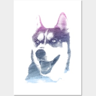 Husky Superimposed Watercolor Posters and Art